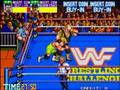 Wrestlefest - Big Boss Man & Sargeant Slaughter