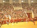 Bull Jumping - Guy somersaults over bull in the ring - Navalcarnero