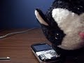 palm-centro.html