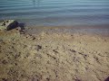 WATER NOISES