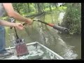 Bowfishing for Grass Carp