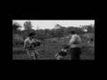 The Fight