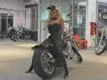 Playboy Bunny & Harley Chopper Playboy Bunny & Harley Chopper