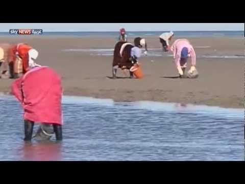 تونسيات يمتهن جمع المحار