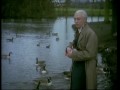 The Fast Show - Unlucky Alf 8 Geese