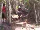 Provincal Day Edit