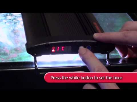 how to set aquarium light timer