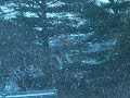 snow storm 2 jan 2,2009