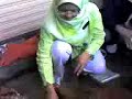 Cendawan Tiram Kelabu-Buat Media & Beg Cendawan Tiram Kelabu-Buat Media & Beg