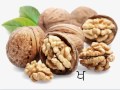 Click here to watch this video 31C Khakhaa (ਖ) Punjabi Words Speak