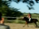 Dhaula & moi parcours