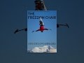 The Freedom Chair