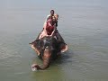 Girls love elephants Girls love elephants