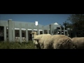 Click here to watch this video Husqvarna Automower Rasenroboter Rasenmäher Salzburg