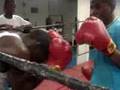 videos de boxing
