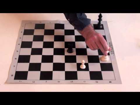 chess knight chess knight
