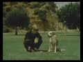 Laughing Levis Commercial