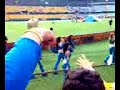 porristas de tigres