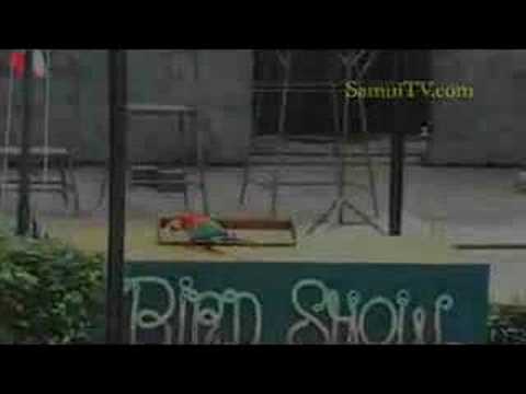 See video