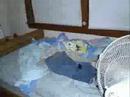 My Room Cleans Itself My Room Cleans Itself