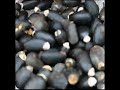 Jatropha-Blumen-Frucht-Samen Spain