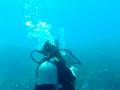 videos de Scuba diving