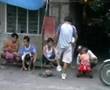 videos de ARNEL , BERNIE, RUBEN MENESES
