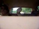 amandas car amandas car