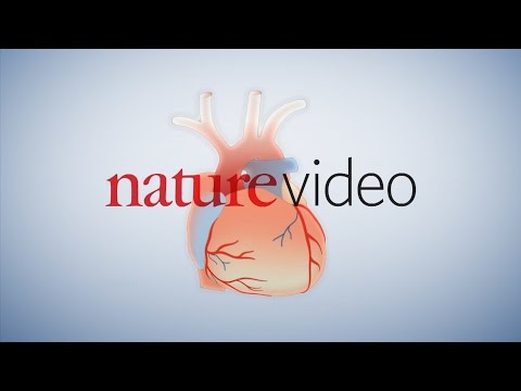 how to administer warfarin