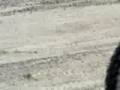 Carl Rm125 Pt2