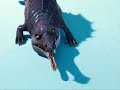 Ice Age 2 - ROCK THIS PARTY Ice Age 2 - ROCK THIS PARTY