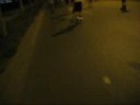 rollerline in bcn