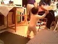 my Baby walk my Baby walk