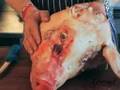 The Ingredient: Pig's Head - Gourmet Magazine