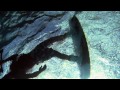 In Micronesia: terra di palme, coralli e kitesurf