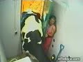 A vaca Invasora
