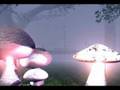 Video ansehen