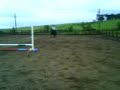 Me and Ebony Jumping Straight Jump x