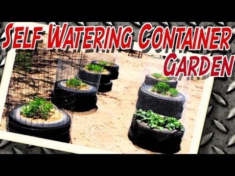 how to fertilize self watering containers