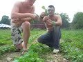 Thinning! [Radishes]