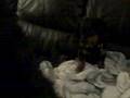 videos de Brandy and Guiness Techno Dance