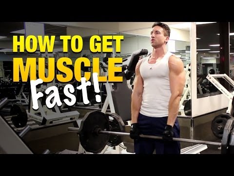 how to build muscle