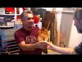 Dog Training - Reducing Prey Drive
