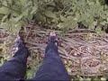 LotusTurbo's Secret Pond