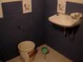 My room at the serenty hotel