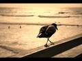 Nomy - Go now