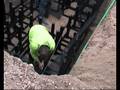 videos de Bomen Planten - Silva Cell Amersfoort