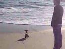 PNutt at Laguna