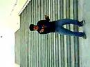 spider\