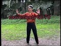 Sun Lutang taijiquan, Fu Zhensong version, review by Fu Meil Sun Lutang taijiquan, Fu Zhensong version, review by Fu Meil